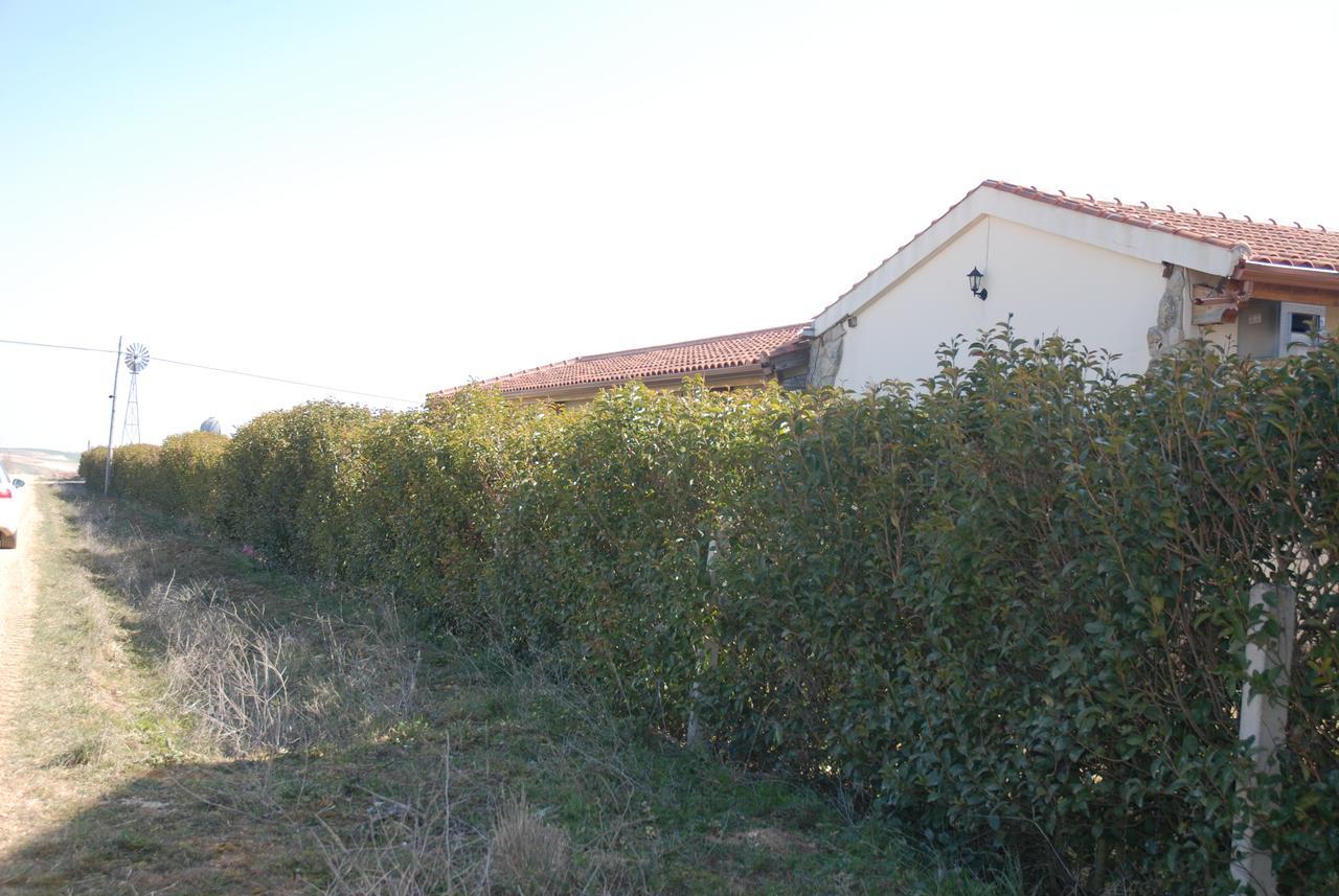 Casa Rural Teso De La Encina Villamor de los Escuderos Exterior photo